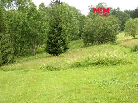 Prodej louky, Benecko, 4214 m2