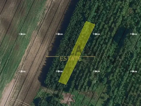 Prodej pozemku, Kostice, 433 m2