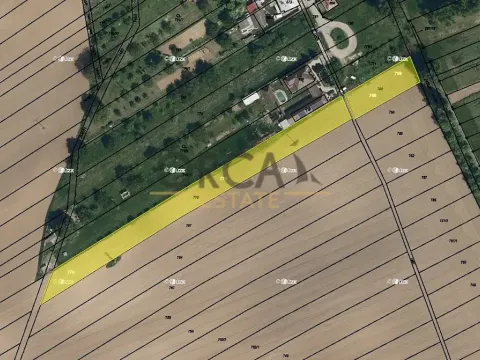 Prodej pole, Moravany, 3323 m2