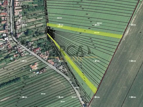 Prodej pole, Moravany, 5395 m2