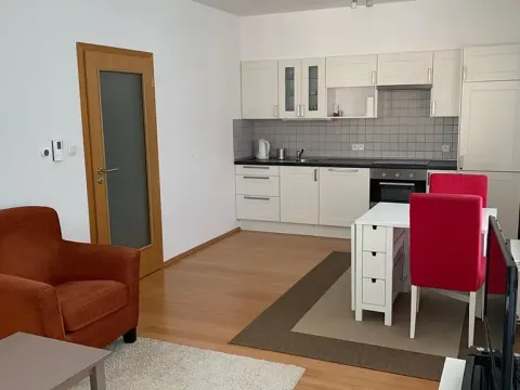 Pronájem bytu 1+kk, Praha - Žižkov, Baranova, 40 m2