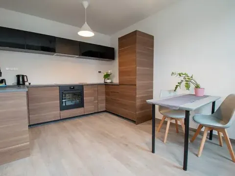 Pronájem bytu 2+kk, Praha - Vinohrady, Perucká, 40 m2