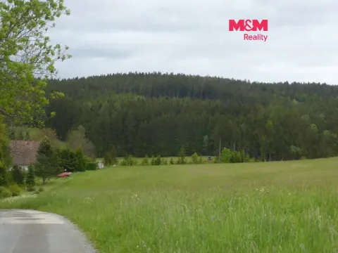 Prodej louky, Vysoká Srbská, 26000 m2