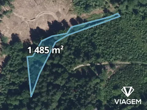Prodej podílu lesa, Vysoké nad Jizerou, 932 m2