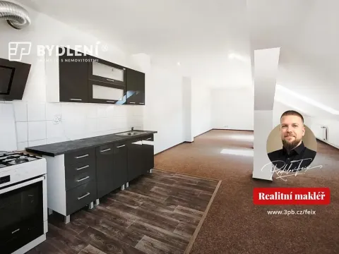 Pronájem bytu 4+kk, Teplice, Masarykova třída, 136 m2