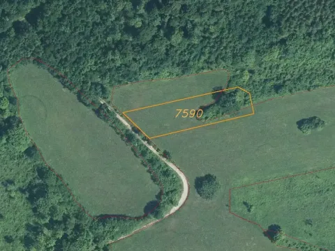 Prodej pole, Javorník, 1556 m2