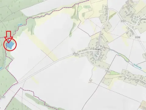Prodej lesa, Bílá Lhota, 6162 m2