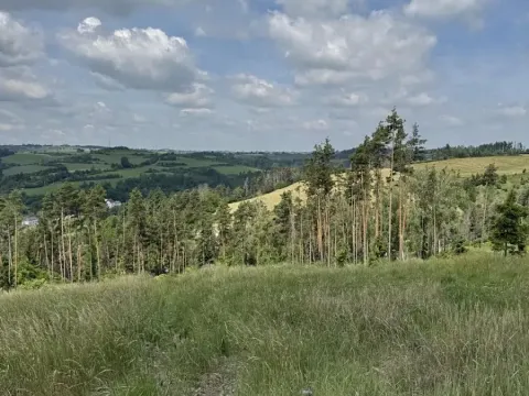 Prodej lesa, Chlum, 5098 m2