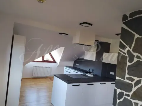 Pronájem bytu 3+kk, Hlína, 100 m2