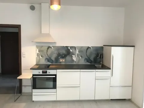 Prodej bytu 2+kk, Praha - Nusle, U Slovanské pojišťovny, 57 m2