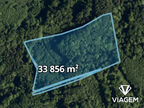 Prodej podílu lesa, Životice u Nového Jičína, 5078 m2