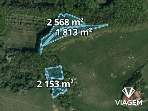 Prodej podílu lesa, Bohuslavice nad Vláří, 2999 m2