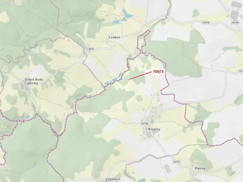 Dražba lesa, Řečice, 350 m2