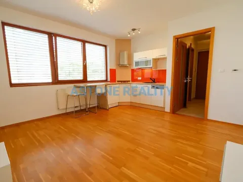 Pronájem bytu 1+kk, Praha - Břevnov, Brunclíkova, 30 m2