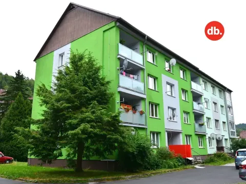 Prodej bytu 1+kk, Kraslice, Družstevní, 20 m2