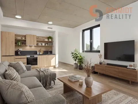Prodej bytu 2+kk, Břeclav, Pod Zámkem, 40 m2