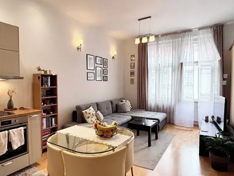 Prodej bytu 1+1, Praha - Vinohrady, Anny Letenské, 50 m2