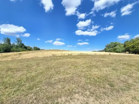 Prodej pole, Blansko, 7861 m2