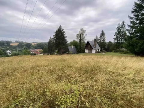 Dražba louky, Brumovice, 1160 m2