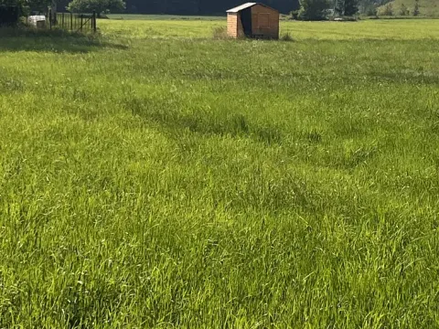 Prodej pozemku, Dobrá, 800 m2