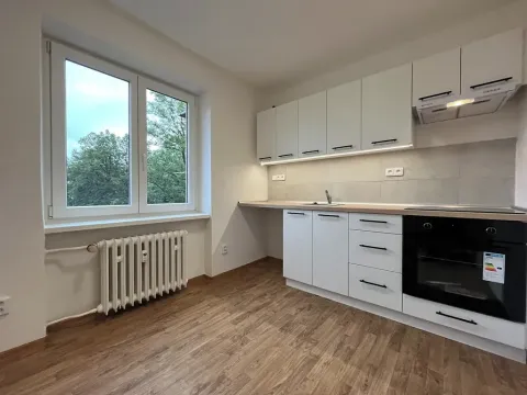 Pronájem bytu 1+1, Třinec, Jablunkovská, 30 m2