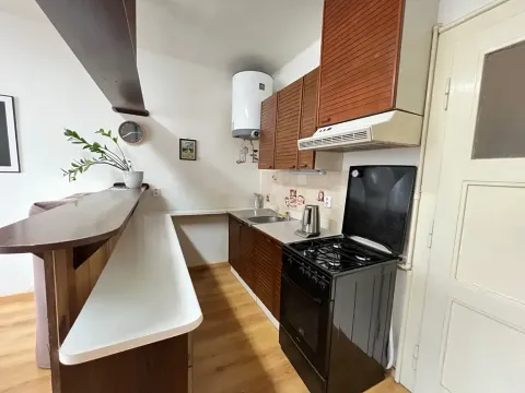 Pronájem bytu 1+kk, Praha - Nusle, Nad Jezerkou, 37 m2