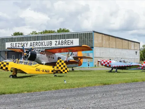Prodej komerčního pozemku, Dolní Benešov, 8872 m2