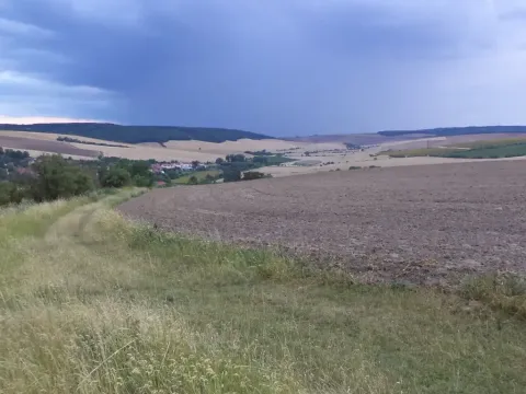 Dražba pole, Morkůvky, 4541 m2