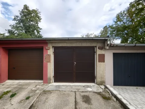 Pronájem ostatní, Zbýšov, Sportovní