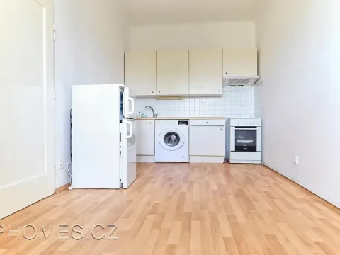 Pronájem bytu 1+1, Praha - Žižkov, Křišťanova, 50 m2