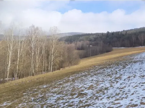 Dražba louky, Kájov, 10344 m2