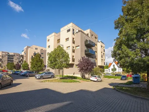Prodej bytu 2+kk, Plzeň, U Velkého rybníka, 80 m2