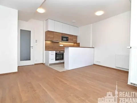 Pronájem bytu 1+kk, Praha - Vinohrady, Řipská, 30 m2