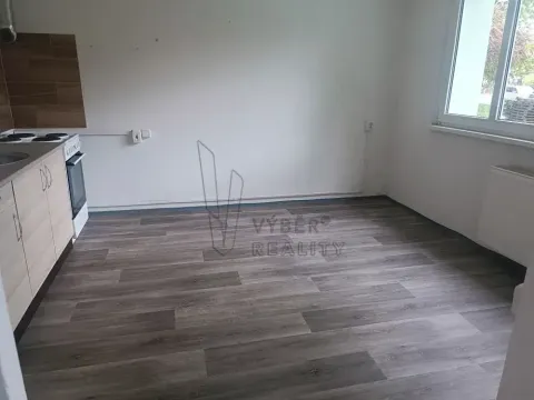 Pronájem bytu 3+kk, Bílina, Teplická, 63 m2