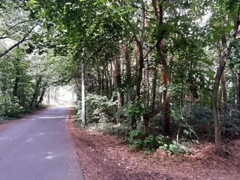 Prodej lesa, Mostkovice, 576 m2