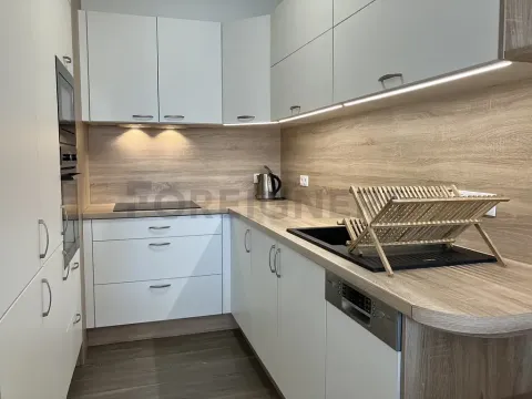 Pronájem bytu 2+kk, Olomouc, Eduarda Hamburgera, 54 m2
