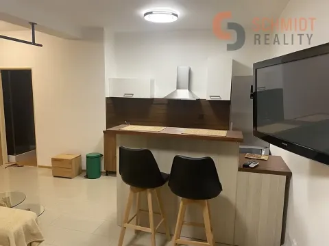 Pronájem bytu 1+kk, Hustopeče, Třebízského, 40 m2