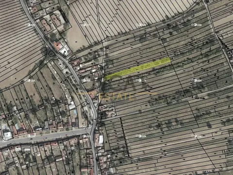 Prodej sadu/vinice, Hýsly, 1503 m2