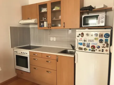 Pronájem bytu 1+kk, Praha - Strašnice, Na palouku, 45 m2