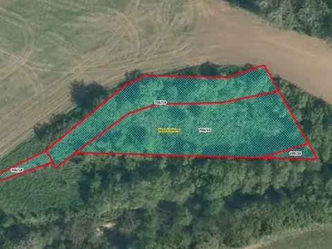 Prodej louky, Horní Slivno, 1353 m2