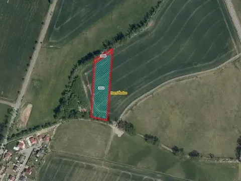 Prodej pole, Horní Ředice, 7349 m2