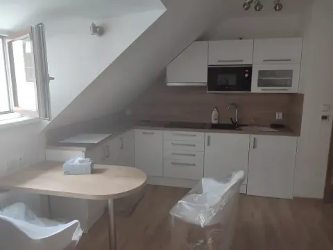 Pronájem bytu 1+kk, Frýdek-Místek, Ostravská, 32 m2
