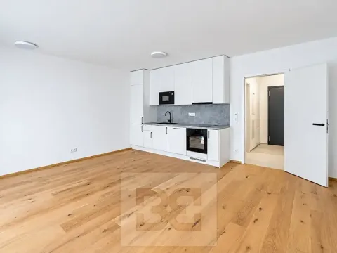 Prodej bytu 1+kk, Praha - Košíře, Starokošířská, 40 m2