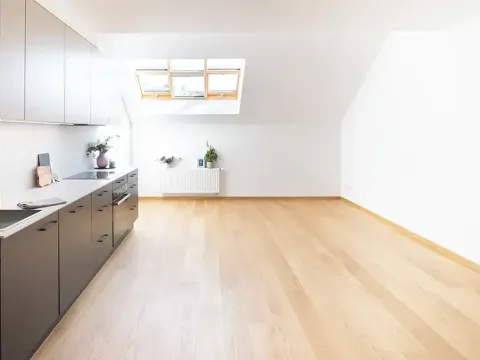 Pronájem bytu 2+kk, Praha - Žižkov, Jeronýmova, 69 m2