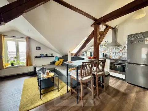 Pronájem bytu 3+kk, Brno, Výpravní, 100 m2