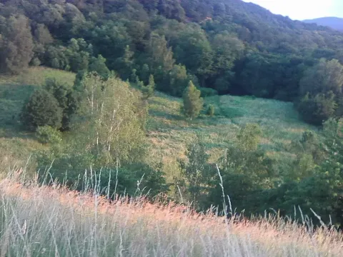 Pronájem louky, Velké Březno, 39851 m2