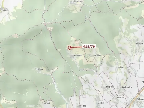 Dražba louky, Jankovice, 2523 m2