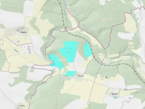 Dražba pozemku, Svojšín, 385333 m2