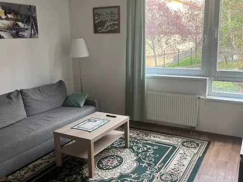 Pronájem bytu 2+kk, Praha, Komořanská, 39 m2