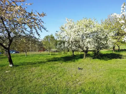 Prodej zahrady, Mělník, 9817 m2